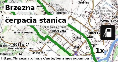 čerpacia stanica, Brzezna