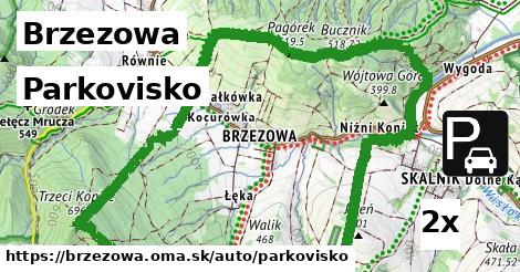 Parkovisko, Brzezowa
