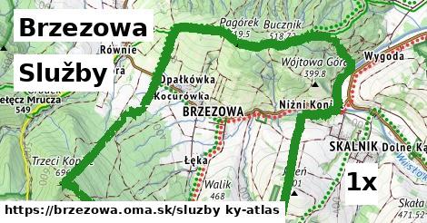 služby v Brzezowa