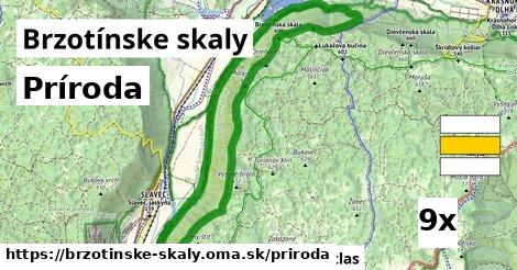 príroda v Brzotínske skaly