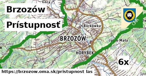 prístupnosť v Brzozów