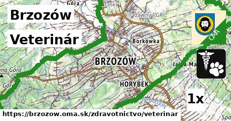 veterinár v Brzozów