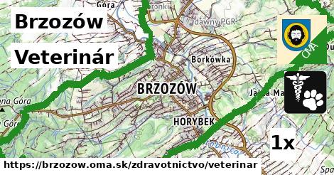 Veterinár, Brzozów