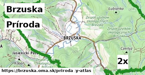 príroda v Brzuska