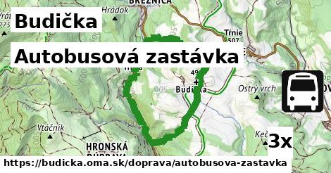 Autobusová zastávka, Budička