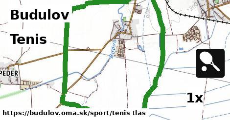 Tenis, Budulov
