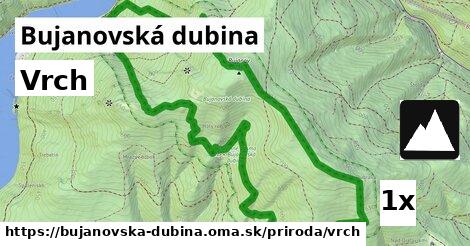 Vrch, Bujanovská dubina