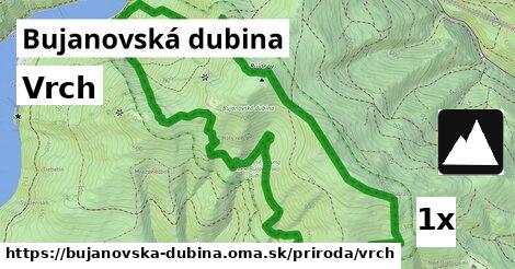 Vrch, Bujanovská dubina