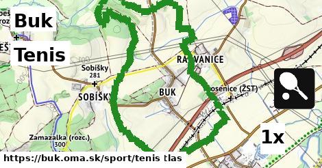 Tenis, Buk
