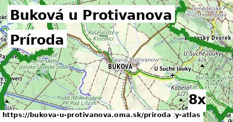príroda v Buková u Protivanova