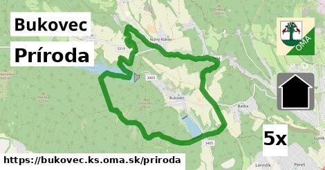 príroda v Bukovec, okres KS