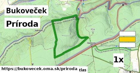 príroda v Bukoveček