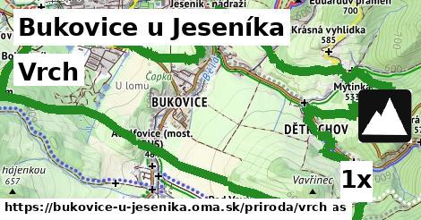 vrch v Bukovice u Jeseníka