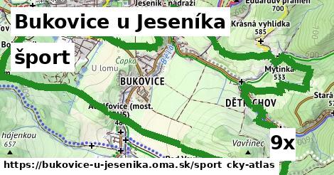 šport v Bukovice u Jeseníka