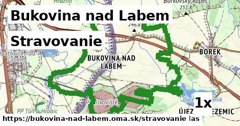 stravovanie v Bukovina nad Labem