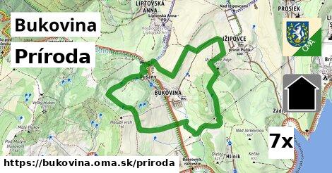 príroda v Bukovina