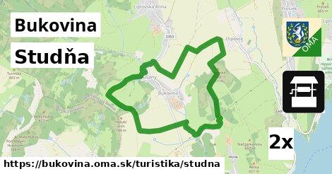 Studňa, Bukovina