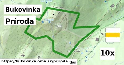 príroda v Bukovinka