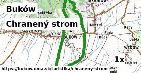 Chranený strom, Buków