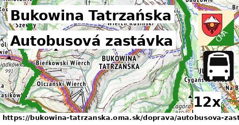 autobusová zastávka v Bukowina Tatrzańska