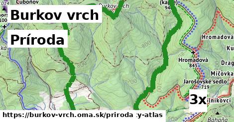 príroda v Burkov vrch