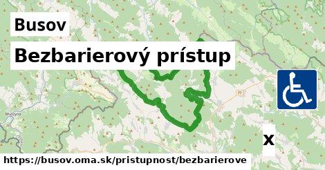 Bezbarierový prístup, Busov