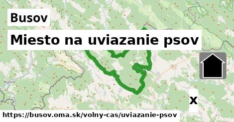 Miesto na uviazanie psov, Busov