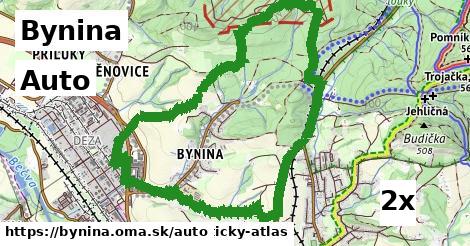 auto v Bynina