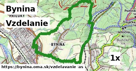 vzdelanie v Bynina