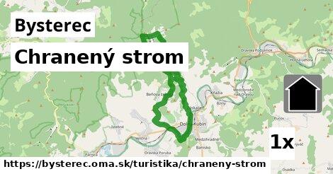 Chranený strom, Bysterec