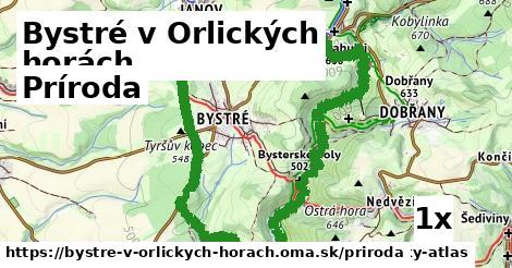 príroda v Bystré v Orlických horách