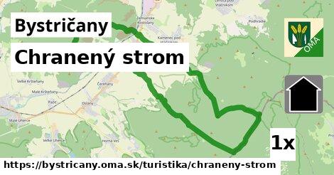 Chranený strom, Bystričany