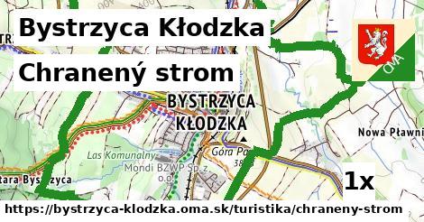 Chranený strom, Bystrzyca Kłodzka