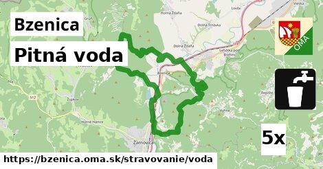 Pitná voda, Bzenica