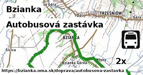 Autobusová zastávka, Bzianka