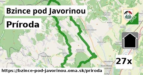 príroda v Bzince pod Javorinou