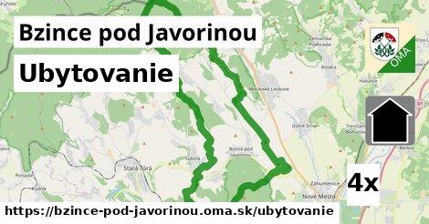 ubytovanie v Bzince pod Javorinou