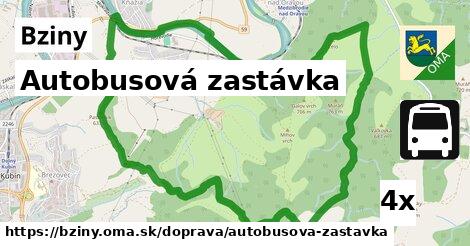 Autobusová zastávka, Bziny