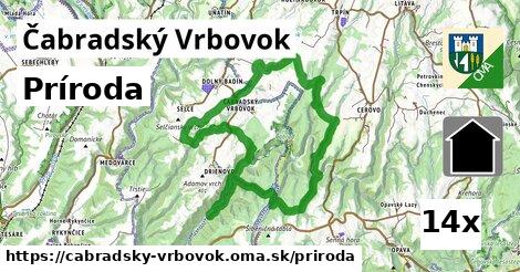 príroda v Čabradský Vrbovok