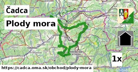 Plody mora, Čadca