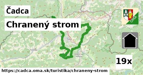 Chranený strom, Čadca