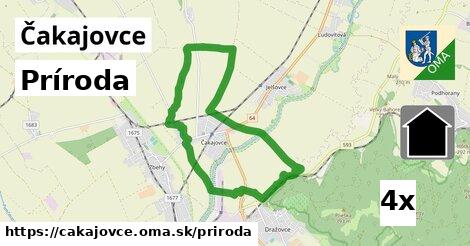 príroda v Čakajovce