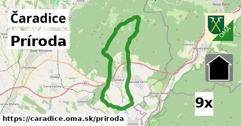 príroda v Čaradice