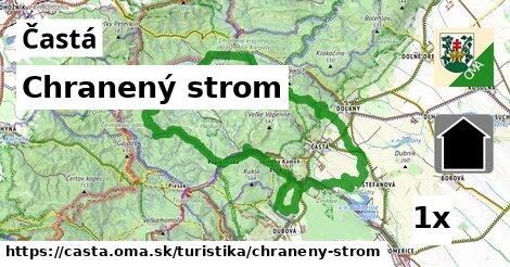 Chranený strom, Častá