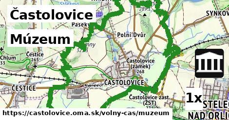Múzeum, Častolovice