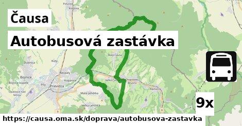 Autobusová zastávka, Čausa