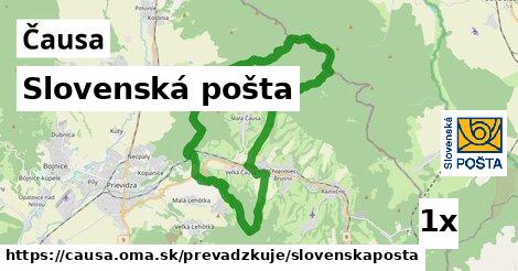 Slovenská pošta, Čausa