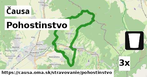 Pohostinstvo, Čausa