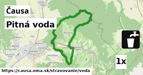 Pitná voda, Čausa