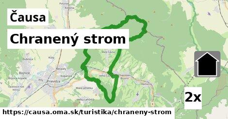 Chranený strom, Čausa